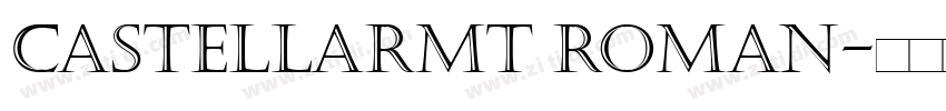 CastellarMT Roman字体转换
